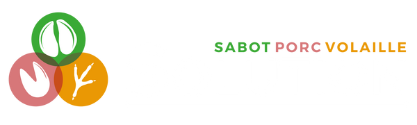 Sabot Solution Inc.