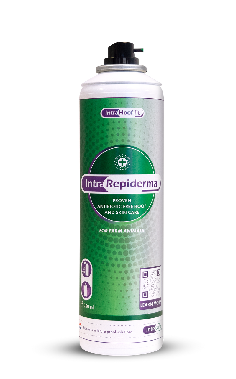 REPIDERMA 250 ml - 1 unité