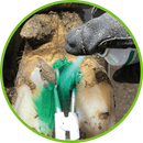 Pince pour le Traitement des Sabots