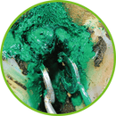 Pince pour le Traitement des Sabots